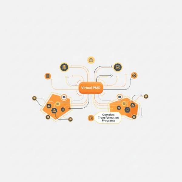 the-value-of-a-virtual-pmo-for-complex-transformation-programs