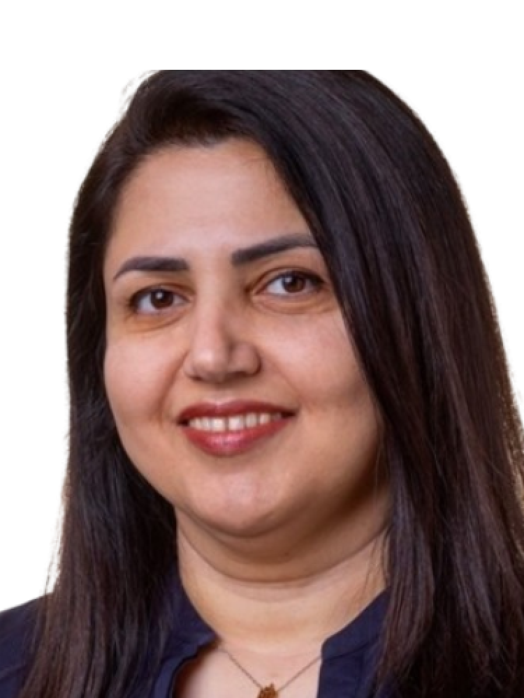 v2 Yasmin Veiseh website